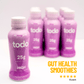 Gut health smoothies (12 pack) - todo